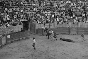 Bull Fight Gallery: The end, bullfight, Matomoros, Mexico