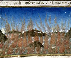 Predis Prints: The end of the world and the Last Judgement. The sea will bu