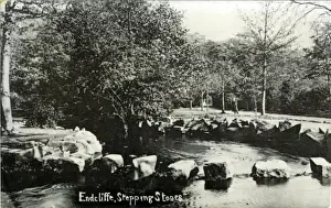 Stepping Prints: Endcliffe Park, Sheffield, Yorkshire