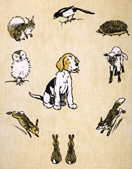 Puppies Prints: Endpaper design by Cecil Aldin, Field Babies
