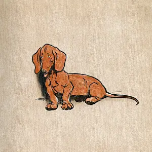 Endpaper Prints: Endpaper illustration, Merry and Bright, by Cecil Aldin