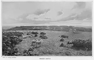 Excavated Prints: ENGLAND / ARCHAEOLOGY