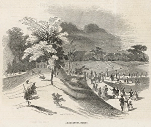 Arboretum Collection: England / Derby Arboretum