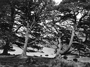 England / Derwentwater