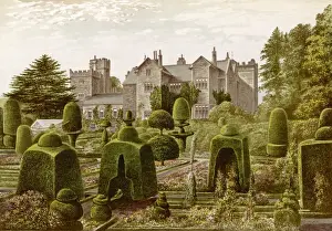 Topiary Prints: England / Levens Hall