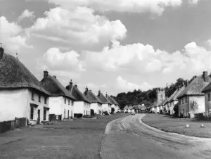 Milton Gallery: England / Milton Abbas