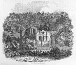 Nestling Prints: England / Rievaulx Abbey
