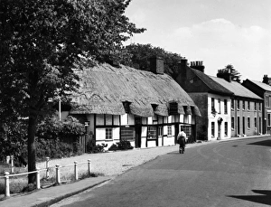 Images Dated 14th March 2011: England / Ringwood