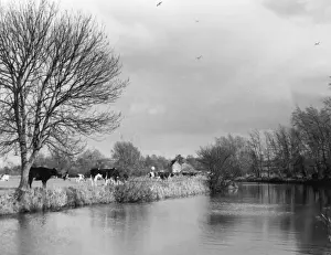 England / River Stour