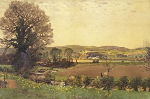 Arable Gallery: England - Sowing