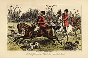 Somerville Collection: English huntsman dragged in the middle of the hounds