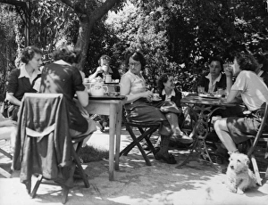 Proper Gallery: English Ladies Take Tea