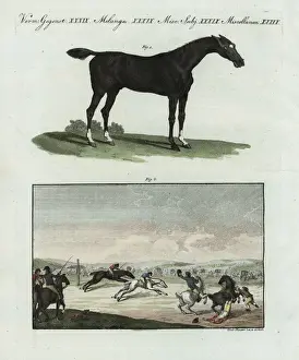 Courser Prints: English racing horse and racetrack