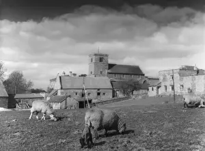 English Village Farm