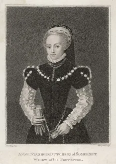Images Dated 29th March 2017: English Widow 1552