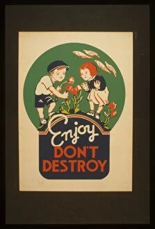 Progress Collection: Enjoy - don t destroy