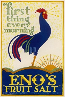Fruit Gallery: Enos Cockerel