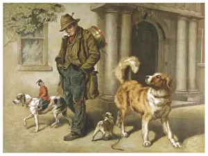 Entertainer and Dogs