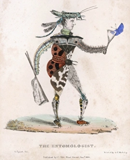 Allegorised Collection: Entomologist Allegory