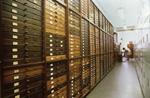 Entomology Department Entomology Department