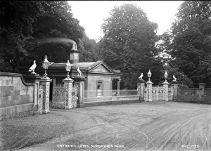 Tyrone Prints: Entrance Gates, Dungannon Park