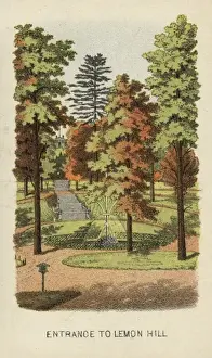 Entrance to Lemon Hill