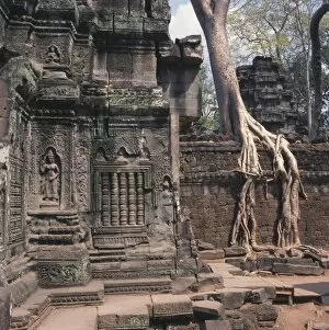 Ancestor Gallery: Entrance to Ta Prohm temple, Siem Reap, Cambodia