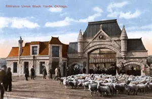 Entrance to Union Stock Yards, Chicago, Illinois, USA