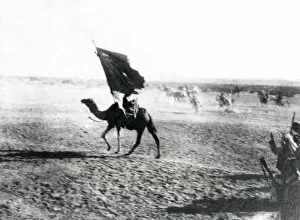Camel Gallery: Entry into Aqaba, Battle of Aqaba, Jordan, WW1