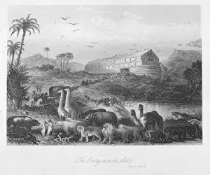 Entry into the ark