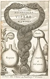 Experiences Prints: Entwined vipers and laboratory equipment