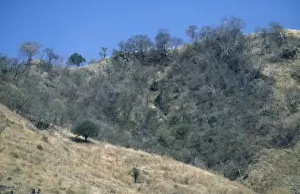 Environmental Prints: Environmental degradation in El Salvador
