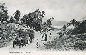 Oxen Prints: Environs of Acapulco, Guerrero, Mexico