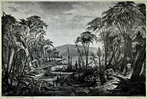 Environs of Radnitz during the Coal Formation