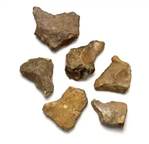 Anthropological Prints: Eoliths from Israel