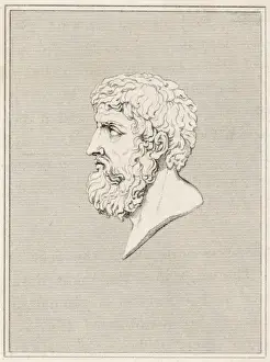 Theban Prints: Epaminondas (Profile)