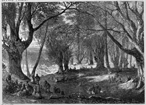 Epping Forest