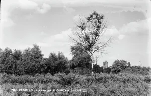 Epsom Prints: Epsom Common and Christ Church