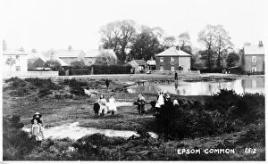 Ponds Collection: Epsom Common, Epsom, Surrey