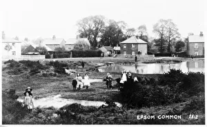 Ponds Collection: Epsom Common, Epsom, Surrey