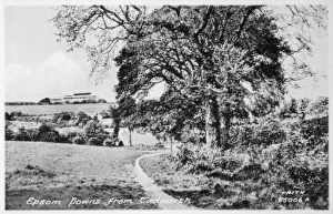 Images Dated 29th June 2017: Epsom Downs, Surrey, viewed from Tadworth