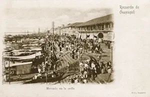 Guayaquil Prints: Equador - Guayaquil - Quayside Market