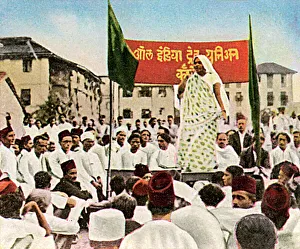 Banner Collection: Equal Rights Campaign