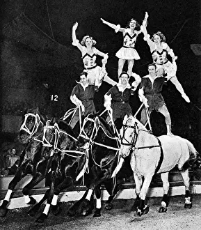 Equestrian Acrobats at the Circus, 1948