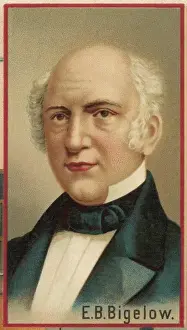 Erastus Brigham Bigelow