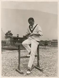 Dryden Prints: Ernst Dryden / 309 / Cricket
