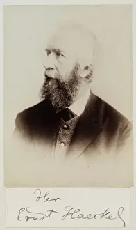 Ernst Haeckel