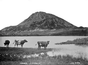Composite Prints: Errigal (Composite) a Composite View of the Errigal