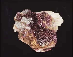 Spike Prints: Erythrite