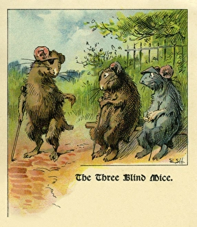 Images Dated 24th February 2010: ES Hardy. Three blind mice